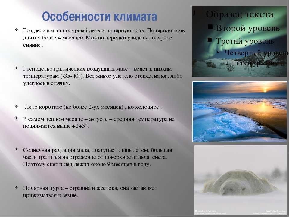 Климат арктический