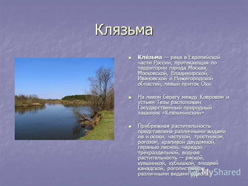 Клязьма - читайте на сatcher.fish