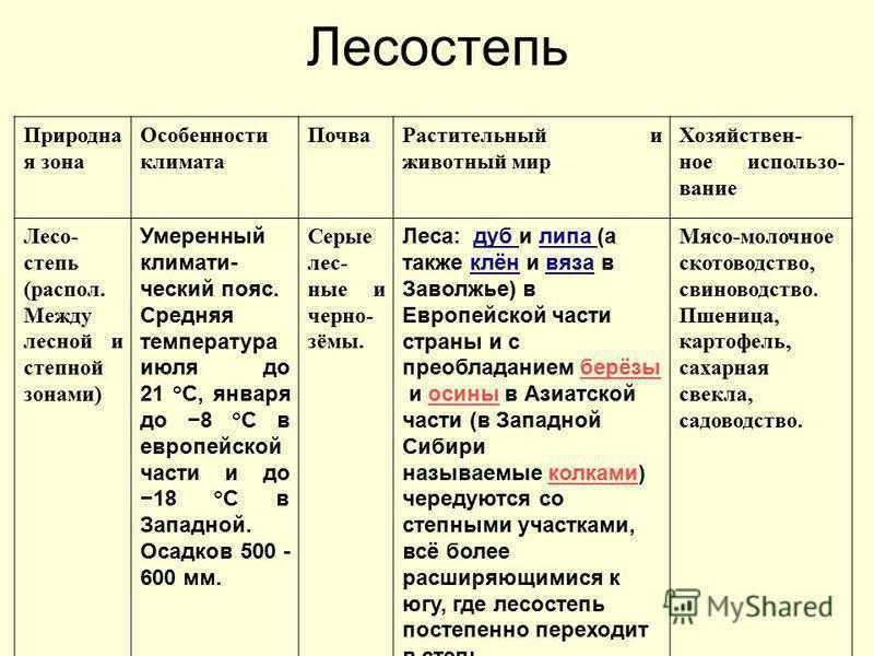 Лесостепи и степи россии