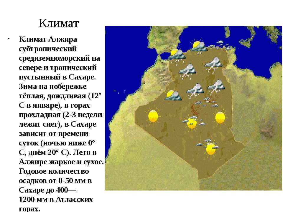 Алжир: география, государственное устройство, экономика и культура