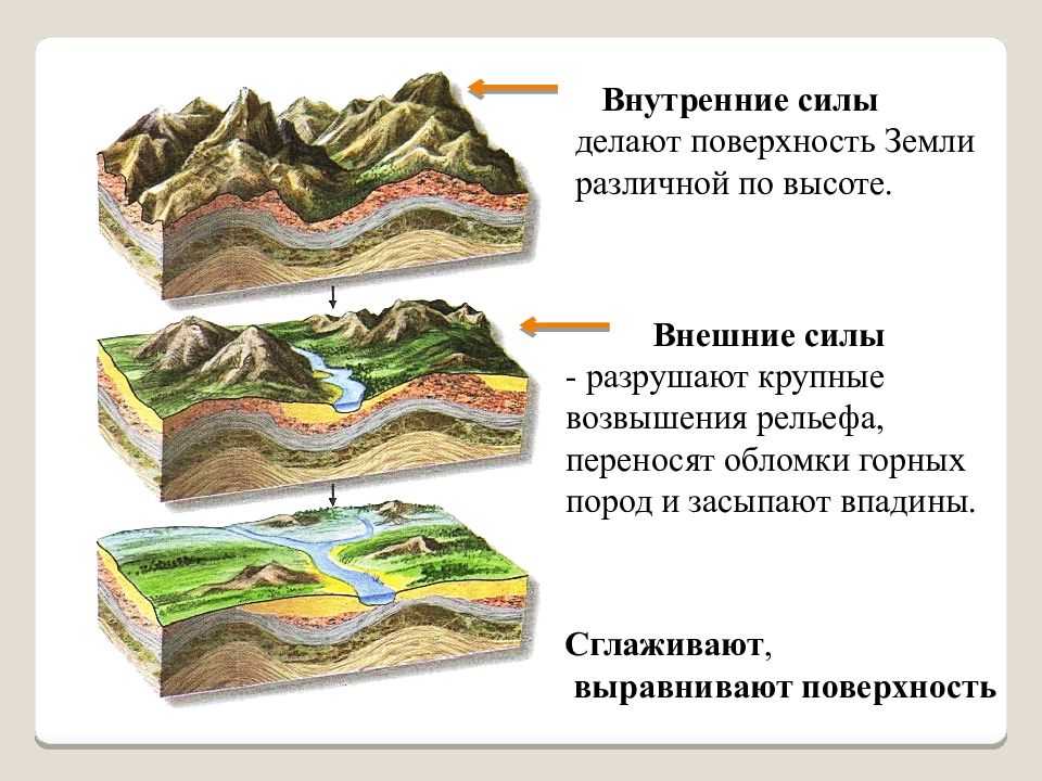 Внешние процессы влияющие на рельеф схема