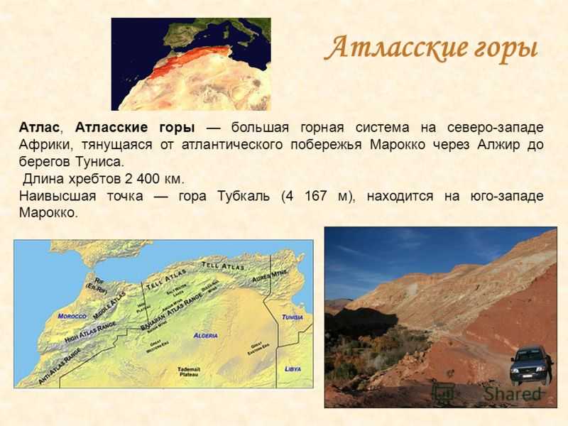 Как именуется сборник карт местности и других географических объектов