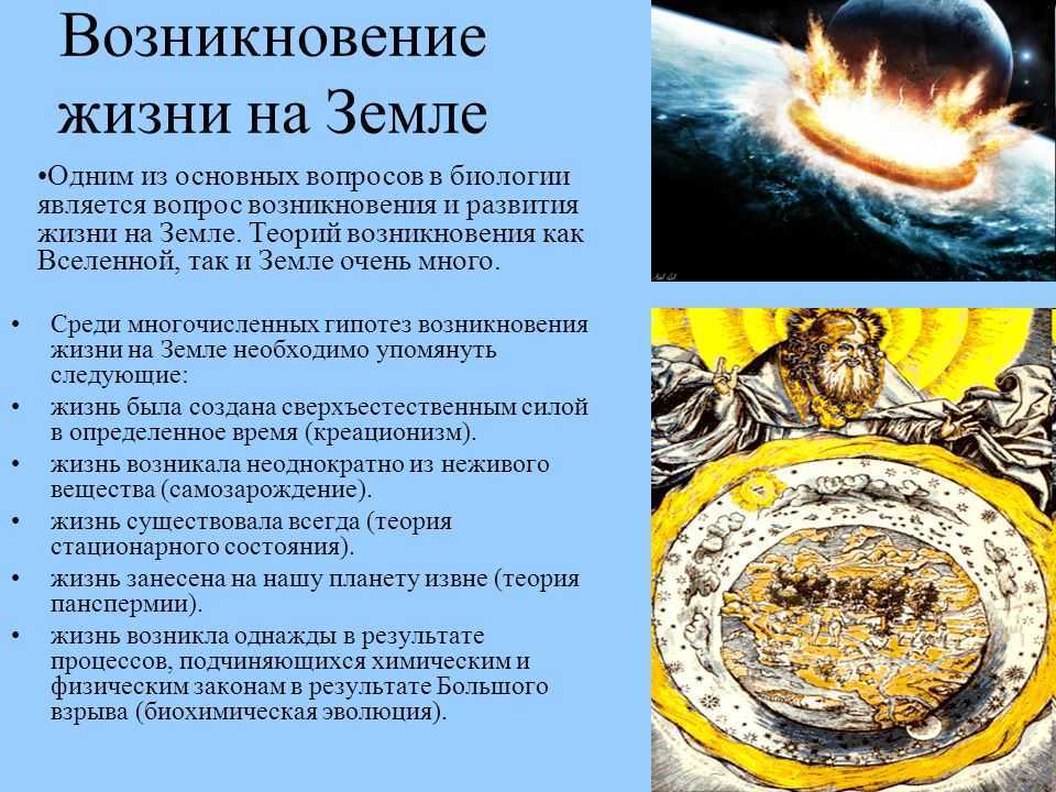 Жизнь на земле, теории происхождения жизни на земле — мир космоса