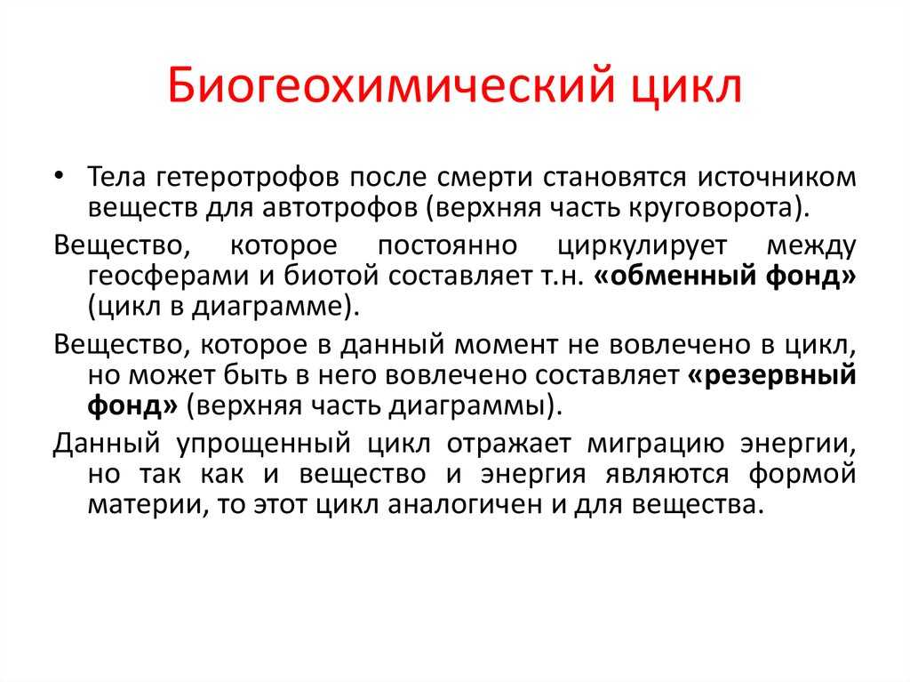 Круговорот биогенных элементов кратко