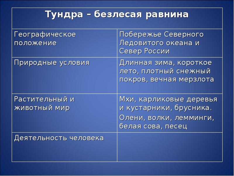 Природная зона тундр – описание, климат, животные, растения 