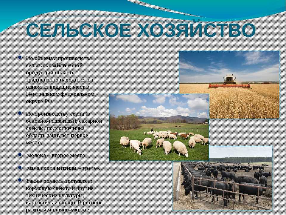 Факторы размещения апк география 9 класс кратко