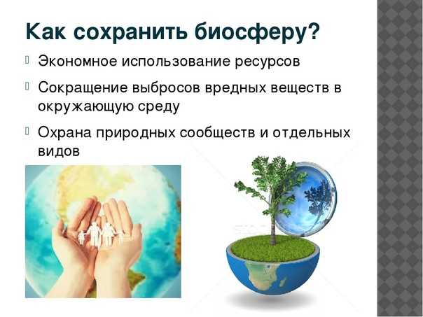 Биосфера: что это такое, ее состав, строение, свойства и функции