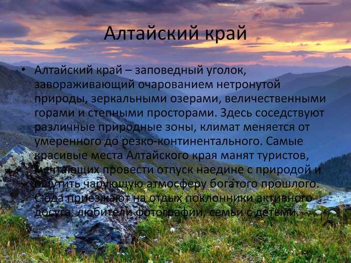 Природа алтайского края: рельеф, климатические зоны, растительный и животный мир