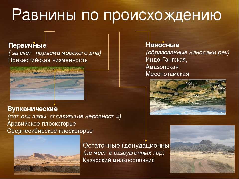 Характеристика и основные формы рельефа