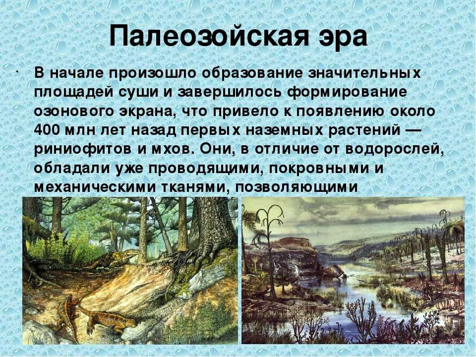Мезозойская складчатость: что это, форма рельефа и полезные ископаемые