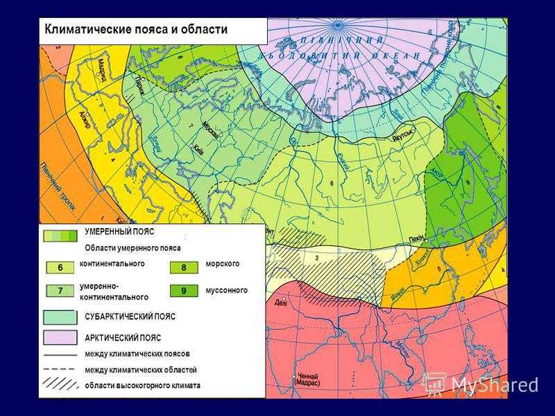 Характеристики умеренного климата, расположение, виды, растения и фауна