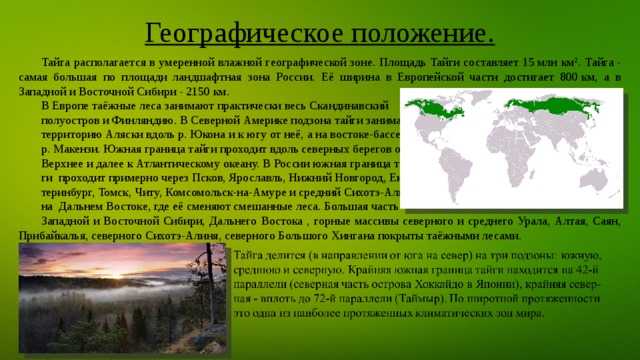 Природная зона умеренного пояса, какие особенности имеют умеренные широты