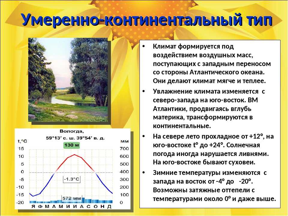 Континентальный климат: характеристики, типы, флора и фауна