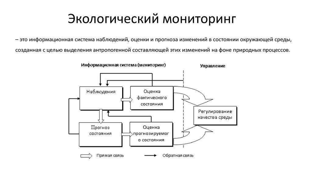 Глобальный национальный региональный и локальный мониторинг общность и различия кратко