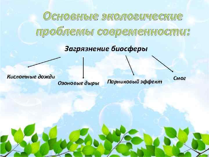 Тест по теме «биосфера – глобальная экосистема. биосфера и человек» | doc4web.ru