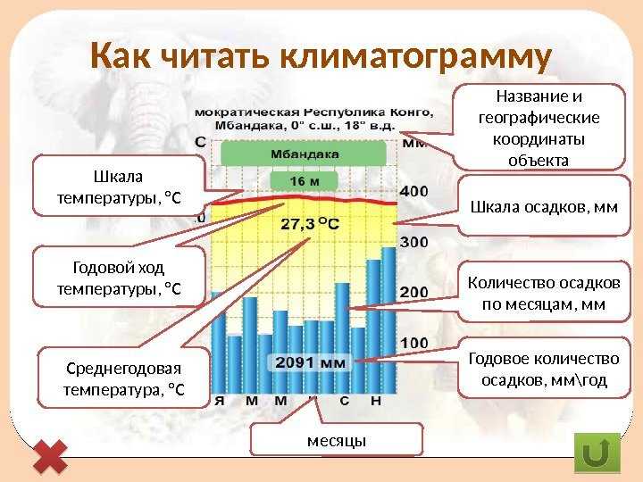 Количество выпавших осадков на какую площадь измеряется в россии?