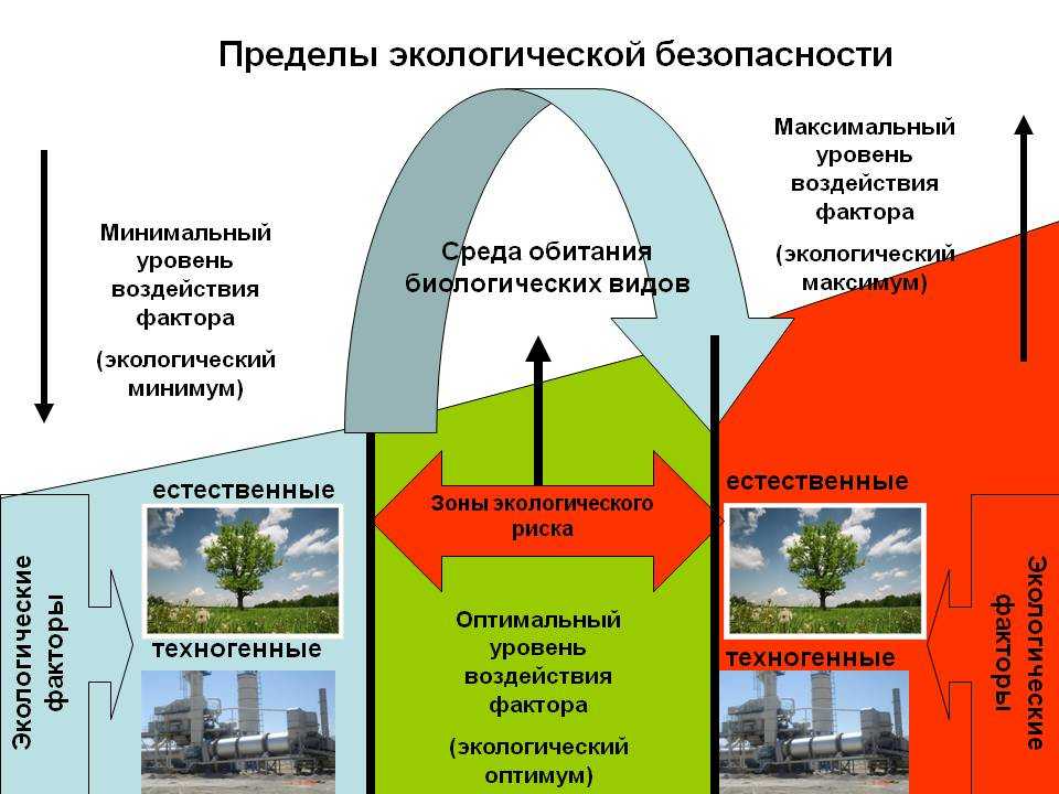 Распределение в россии основных элементов климата