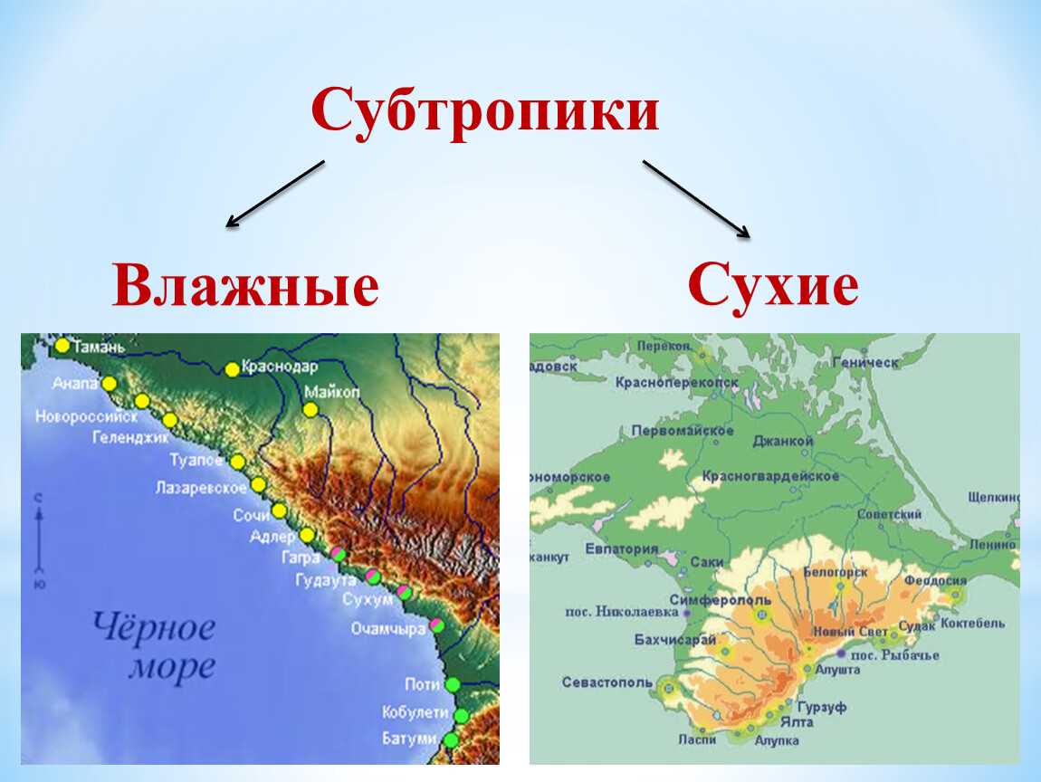 Лучший климат для астматиков