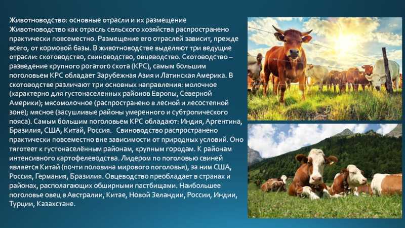 (решено) размеры производства продукции транспортной отрасли с распределением по главным географическим регионам…