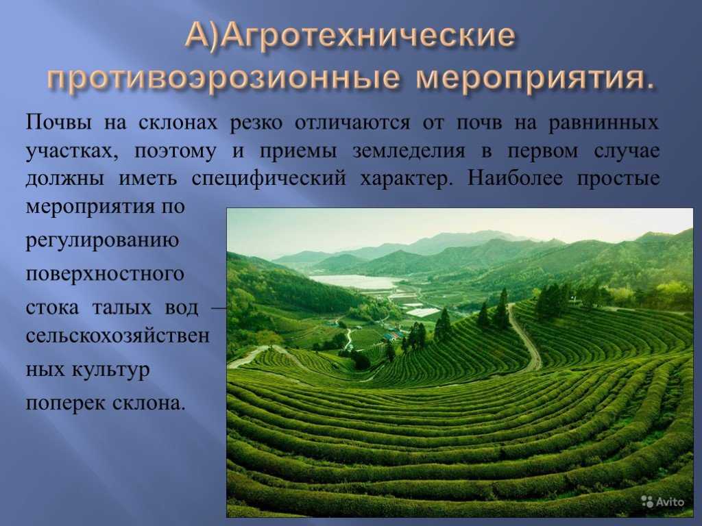 Адаптивно-ландшафтная система как основа роста производства и экологизации землепользования | статья в журнале «молодой ученый»