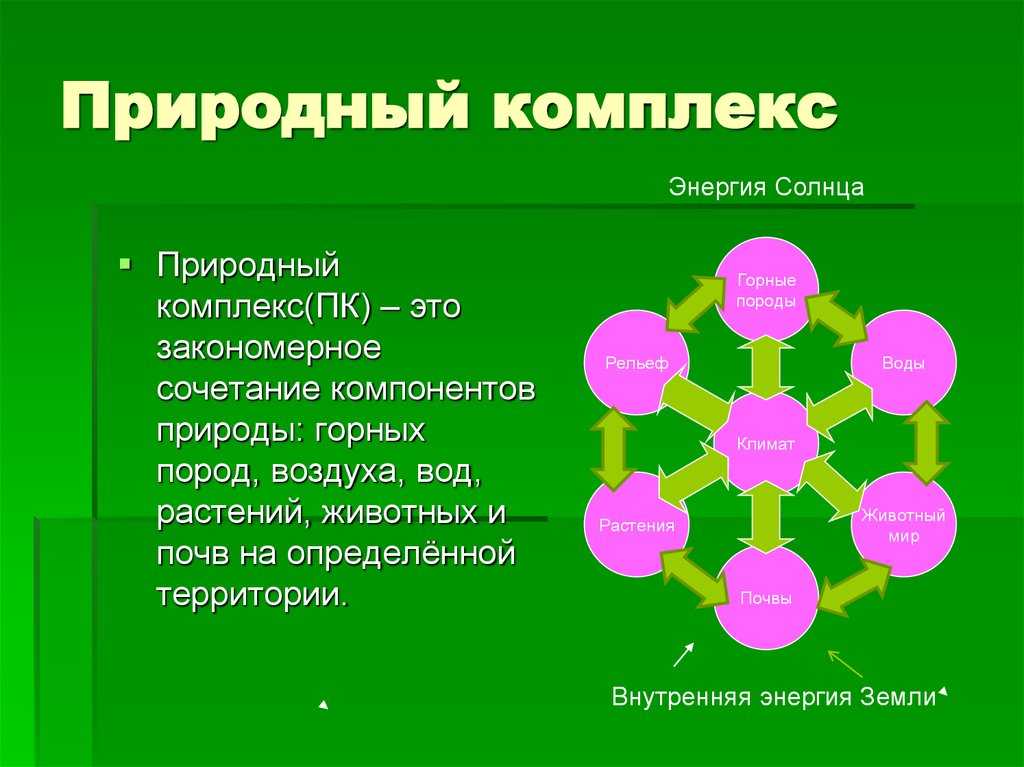 Что называют природным комплексом в географии
