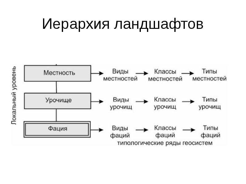 Объемно-пространственная структура объектов ландшафтного искусства и ее связь с компонентами естественного ландшафта Организованное пространство - это