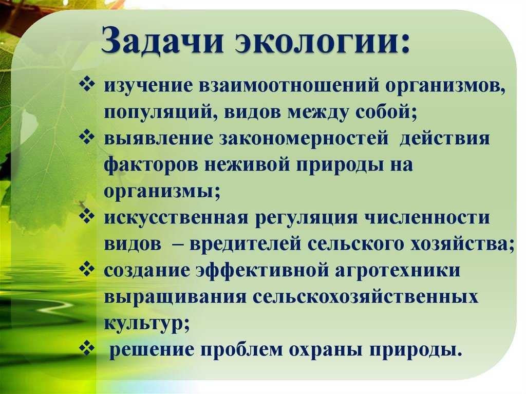 Понятие об экологии. экосистемы. биосфера. ноосфера по вернандскому
