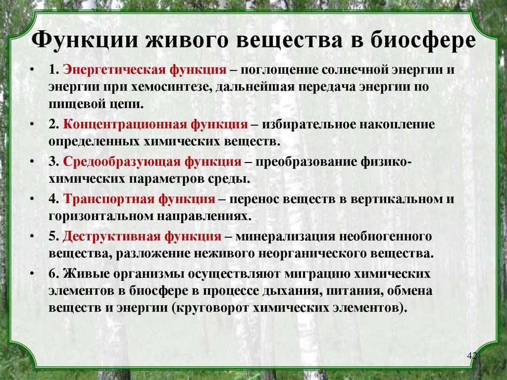Биосфера земли