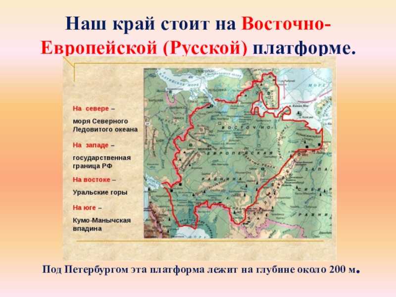 Восточно-европейская платформа
