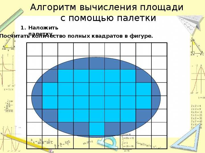 Как найти площадь с помощью палетки. определение площади палетками. давай научимся определять площадь с помощью палетки