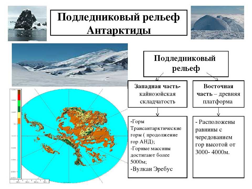 Антарктика