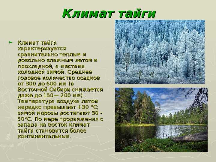 Климат россии кратко, изменения на юге, тайге и центральной части