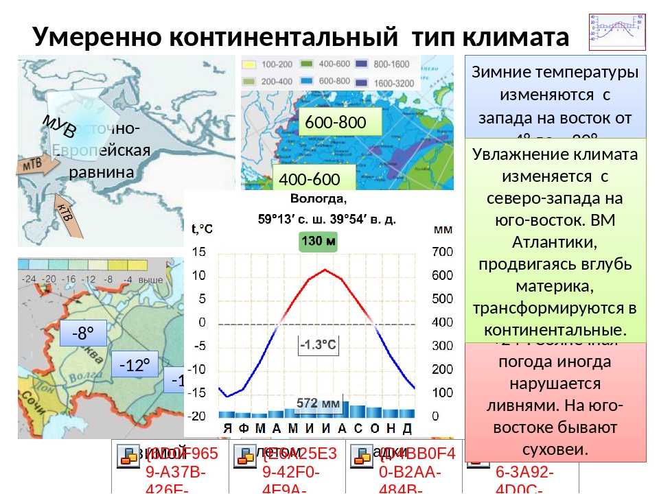 В каком направлении нарастает континентальность климата. Умеренно континентальный Тип климата в России. Умеренно континентальный климат. Континентальный КЛИНМАТ. Климатограмма умеренно континентального климата.
