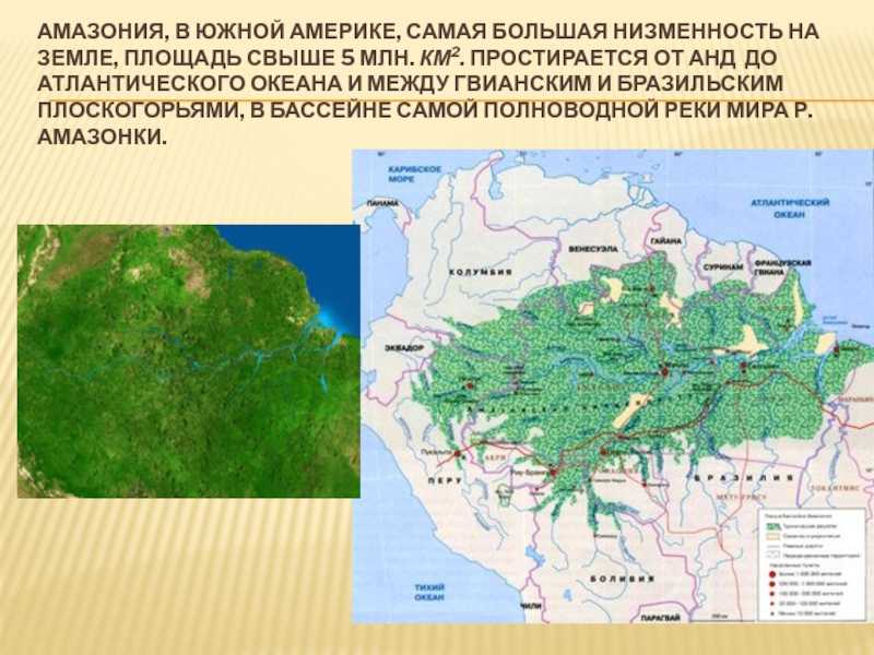 Амазонская низменность – абсолютная высота, где находится (6 класс, география)