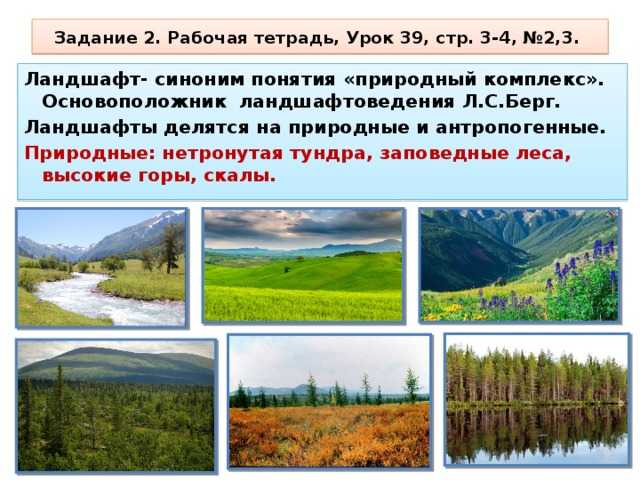 Лесные и биологические ресурсы российской федерации