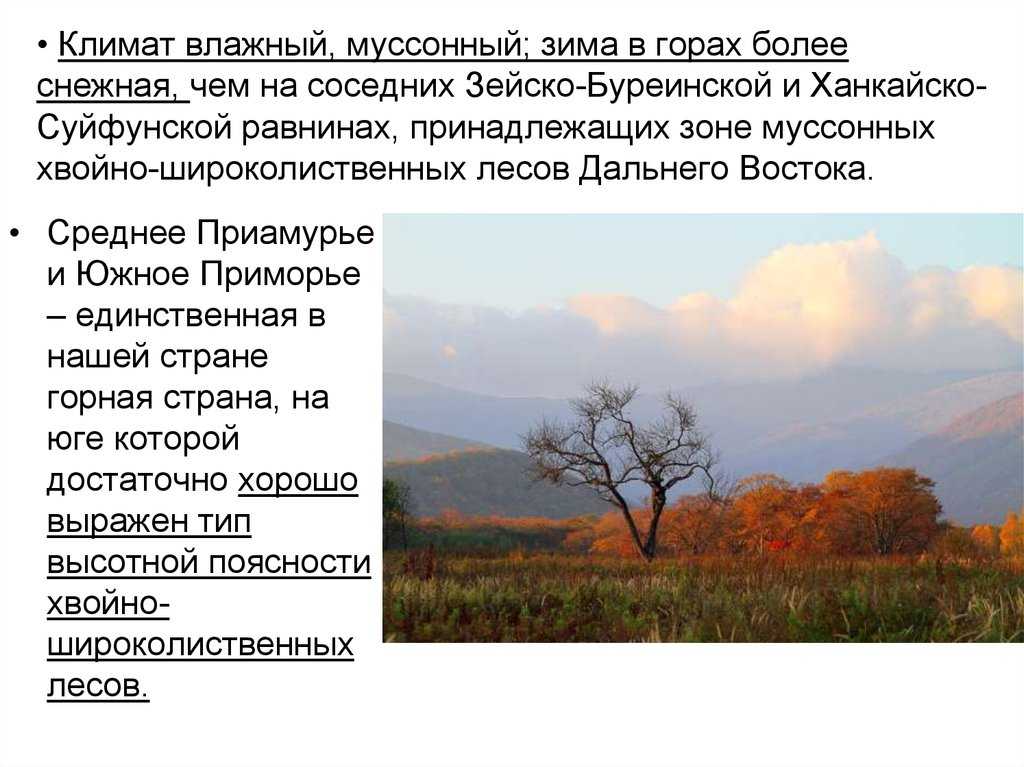 Муссонный климат: особенности и география