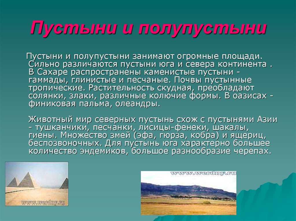 Природная зона пустынь: их классификация и характеристика