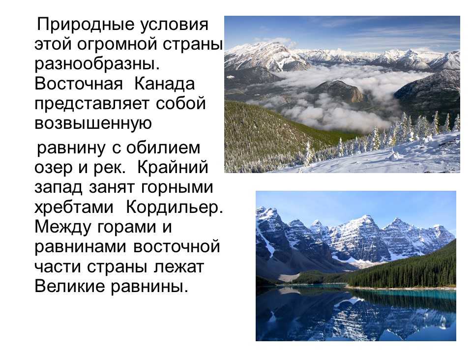 Национальные животные канады и природа. ﻿ страна канада рельеф, климат, описание