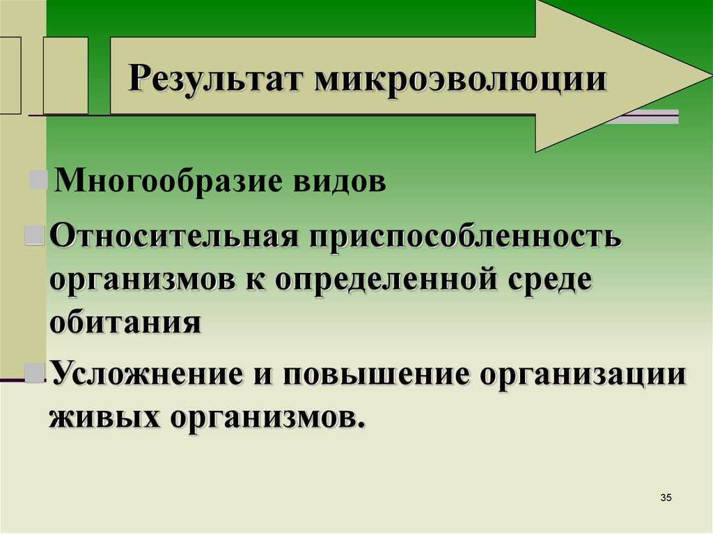 Эволюция