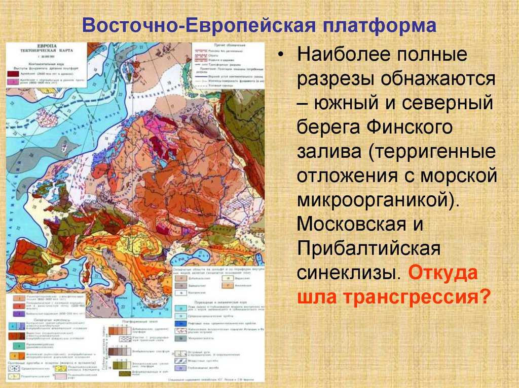 Восточно-европейская равнина — wiki.web.ru