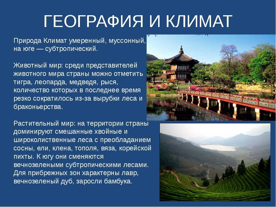 Южная корея и её жители