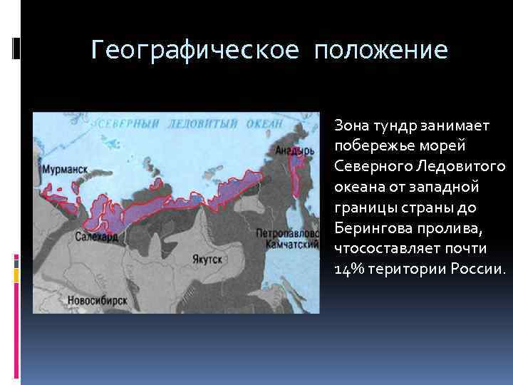 Тундра: внешний вид, фото, особенности, интересные факты, среда обитания