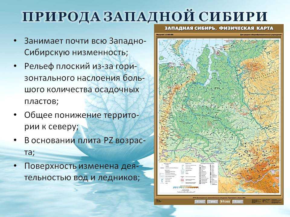 § 35. западно-сибирская равнина: особенности природы