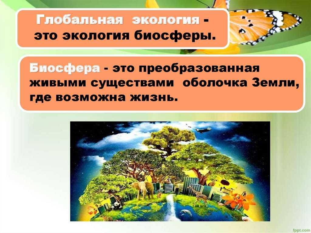 Биосфера | экосистемы и присущие им закономерности | теория | решутест. продвинутый тренажёр тестов