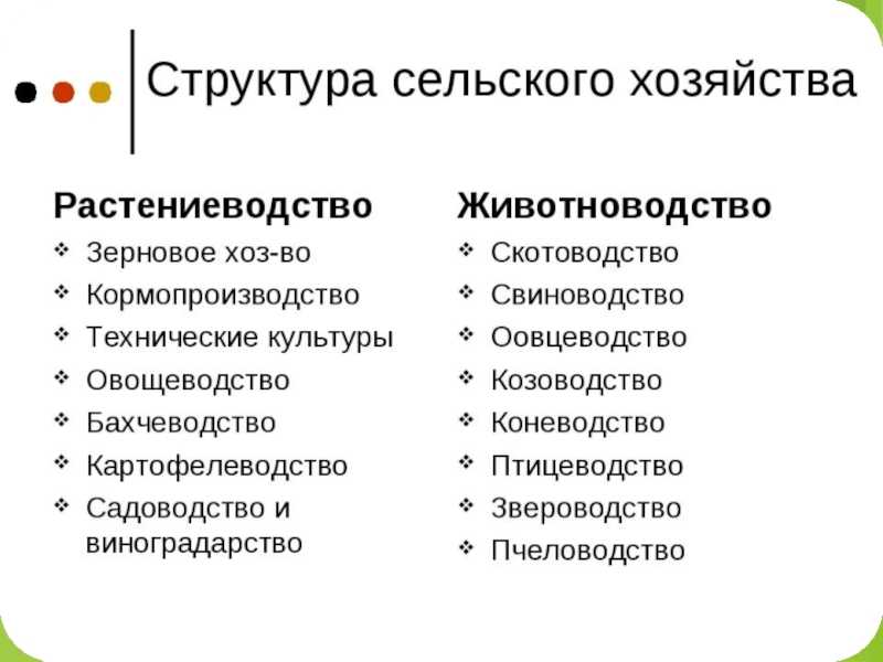 Интересные каналы в телеграм — подборка из 150 лучших (2020)