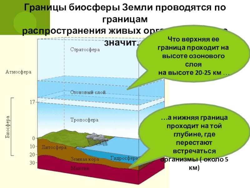 Кто впервые ввел в науку термин биосфера?