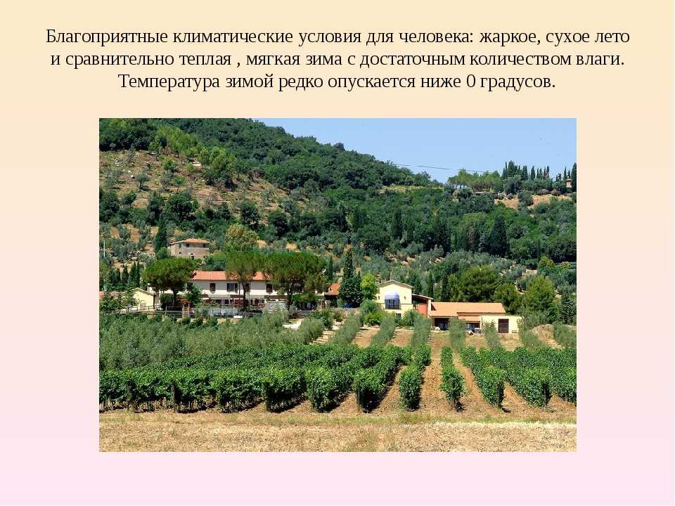 Чем отличаются тропический и субтропический климат? | в чем разница