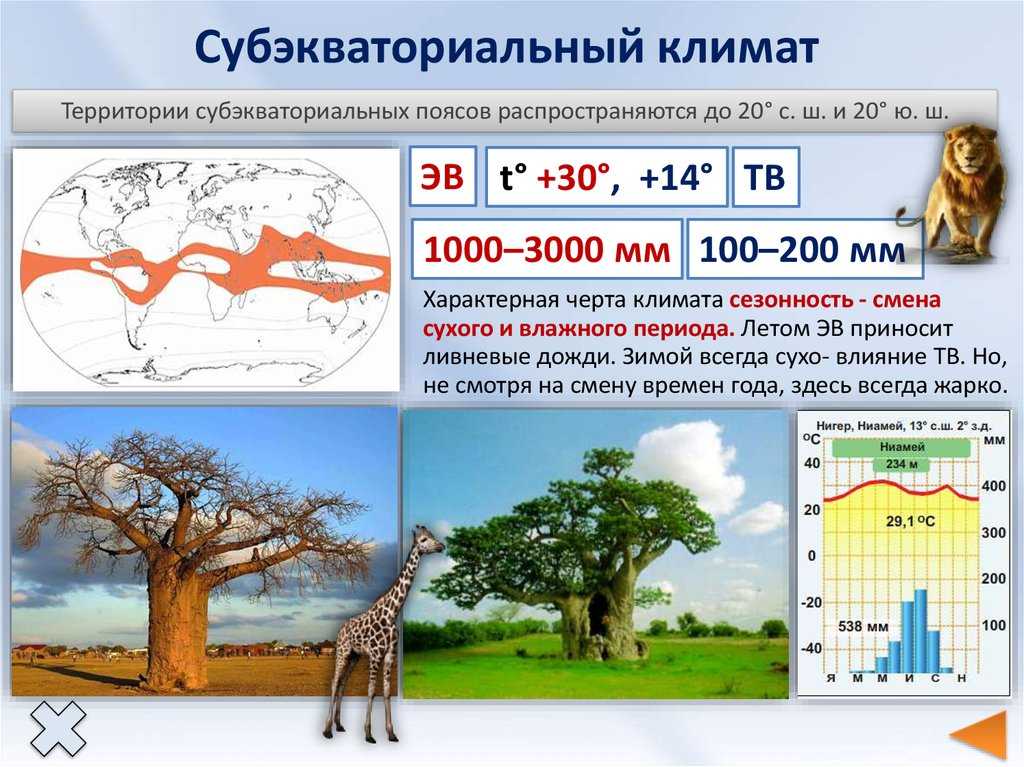 Климат африки