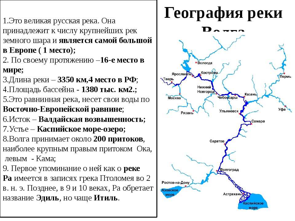 Река волга: обзор и характеристики, притоки, исток, устье