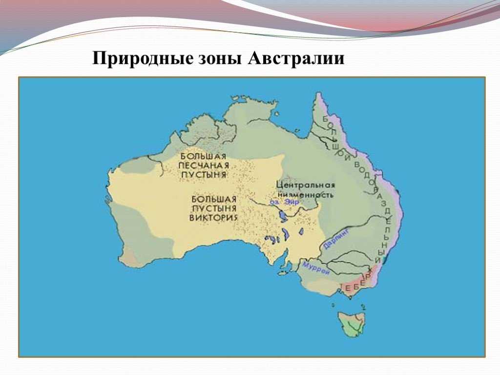 Саванна - описание и характеристики природной зоны, флора и фауна